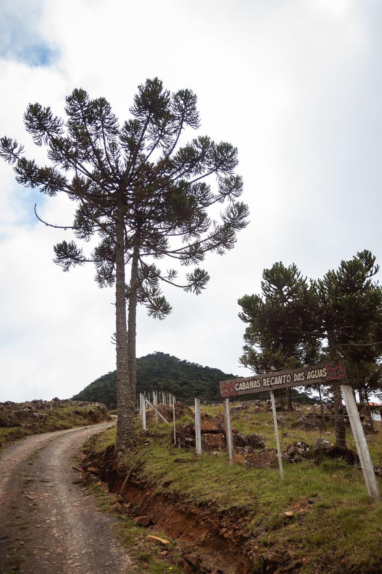Recanto Das Aguas - Urubici - Sc Экстерьер фото
